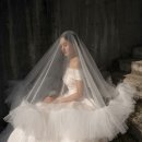 스튜디오 오브 이미지