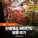 주식회사단풍나무짐 | 교토 가볼만한곳 에이칸도 단풍 벚꽃 명소 입장시간 및 소요시간 정보 직접 갔다왔다