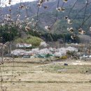 암곡와동 이미지