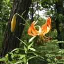 월성자동차정비 이미지