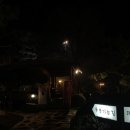 라이스앤파스타 이미지