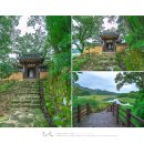 유림-1115 | 전남 곡성 가을 나들이 국내 기차여행 추천