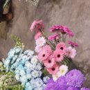 3459 | 대전 둔산동꽃집 연화플라워 방문후기