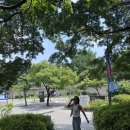 선과색 | 서울시립미술관 유영국 전시 후기｜색으로 여름을 만난 하루, ‘유영국, 산이 된 이야기’