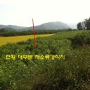 여주-0717 Daum카페