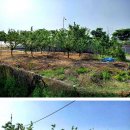 신평농장 이미지