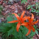 인곡마을회관 이미지