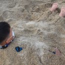 거일1리어촌체험휴양마을 이미지