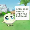 김경엽다슬기 | [광주] 김경엽다슬기(내돈내산) 수제비