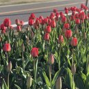 손해평가사 1차 - 상법 보험편 이미지