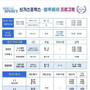 매일스포렉스 이미지