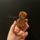 보가로 클레멘테 첼로 송진 Bogaro &amp; Clemente Cello Rosin 리뷰
