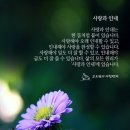 상달 Daum카페