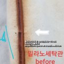 밀라노 크리닝 이미지