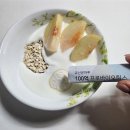 닥터마루 | 장 건강 유산균 찾는다면? 닥터 마루 100억 프로바이오틱스 후기