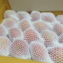 현대농원 이미지