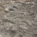 하늘오두막 이미지