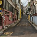 나홀로 진짜 여행 이미지