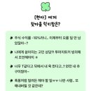 백수 이미지