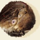 (주)청도환경 이미지