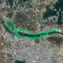 코스모스(주) 가로수길지점 | 제 11회 아산 은행나무길 마라톤대회 10km 완주 후기