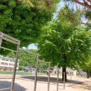 매포초등학교 이미지