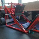 비바휘트니스 이미지