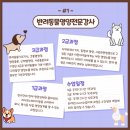 최수연펫푸드아카데미 네이버블로그
