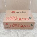 썬PC | 가을 제철 과일 신품종 시나노골드 황금 사과 썬플러스 한국과수농협연합회