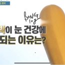 황금호박 네이버블로그