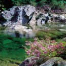 내린천모텔 이미지