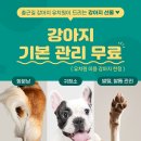 출근길 강아지 유치원 이미지