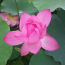 기계중학교 이미지