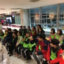 경희대 박사 Tiger kicks 태권도 이미지