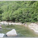 주은 자연휴양림 이미지