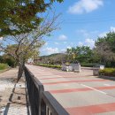 안면방포체육관 이미지