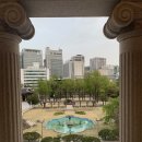 살구가배