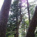 대자연횟집 이미지