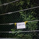 금북기맥3차 3-3구간-놎점이고개-봉림산-태봉산-남산-중태산-용당정 이미지