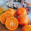 향긋농장 이미지