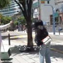 위드플럼 이미지
