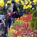 상중도뱃터 이미지