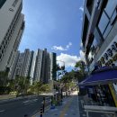 교방동147 | 마산속눈썹펌 : 교방동 정그리다 자연스럽고 또렷한 속눈썹펌 후기