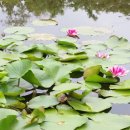 원앙목장 이미지