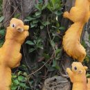 남곡초등학교(병설) 이미지