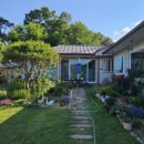 수향오리 이미지