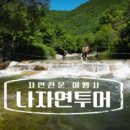 산양삼마을민박 | 나는자연인이다 이상열 자연인, 돌도 돌아 이곳에
