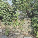 효동1리 이미지