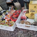 퍼피랜드애견카페 이미지