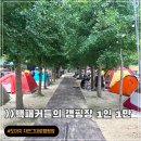 풍차캠핑장 | 포천 도마치 계곡 백패킹 자연그대로 캠핑장 후기